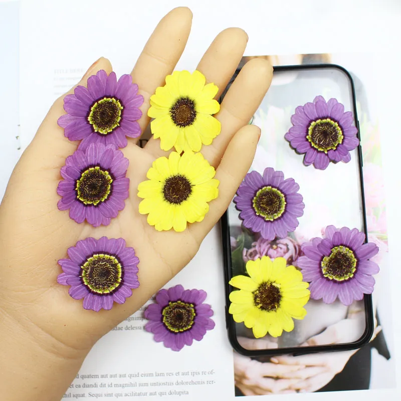 40 adet Preslenmiş Kurutulmuş  - Yellow Phone Accessories incelemesi ve fiyatı