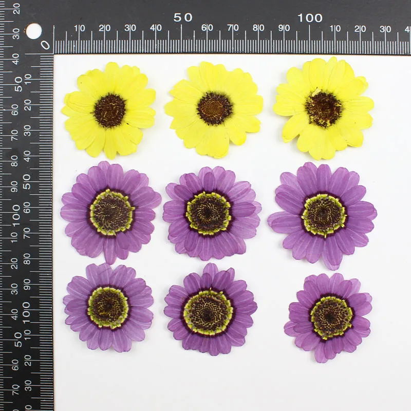 40 adet Preslenmiş Kurutulmuş  - Yellow Phone Accessories incelemesi ve fiyatı
